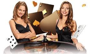 256bet